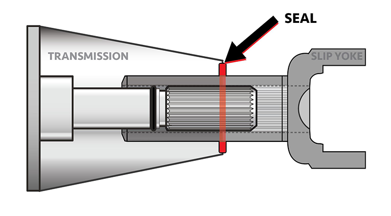 Diagram of transmission slip yoke and rear seal assembly for OEM passenger vehicles